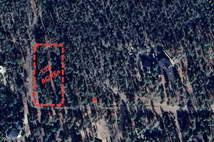 2968 Constellation 029 Ln, Overgaard, AZ 85933 - Photo 1