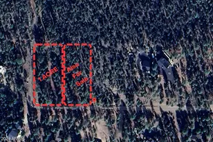 2968 Constellation Ln, Overgaard, AZ 85933 - Photo 1