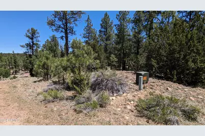 2968 Constellation Lane #-, Overgaard, AZ 85933 - Photo 13