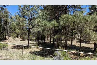 2968 Constellation 028 Lane #-, Overgaard, AZ 85933 - Photo 3