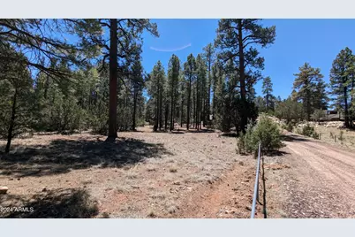 2968 Constellation 028 Lane #-, Overgaard, AZ 85933 - Photo 15