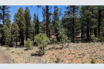 2968 Constellation 028 Lane #-, Overgaard, AZ 85933 - Photo 13