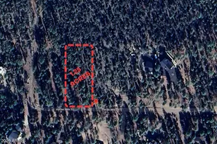 2968 Constellation 028 Ln, Overgaard, AZ 85933 - Photo 1