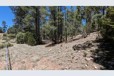 2968 Constellation 028 Lane #-, Overgaard, AZ 85933 - Photo 5