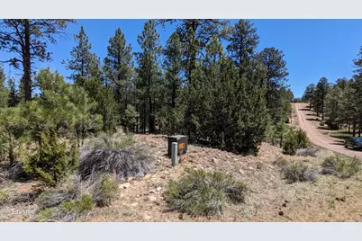 2968 Constellation 028 Lane #-, Overgaard, AZ 85933 - Photo 7