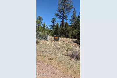 2968 Constellation Lane #-, Overgaard, AZ 85933 - Photo 3