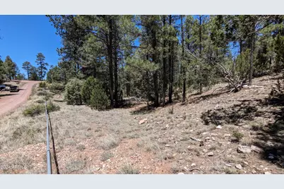 2968 Constellation Lane #-, Overgaard, AZ 85933 - Photo 5