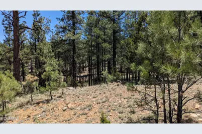 2968 Constellation Lane #-, Overgaard, AZ 85933 - Photo 9