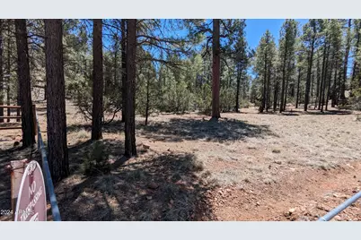 2968 Constellation Lane #-, Overgaard, AZ 85933 - Photo 15