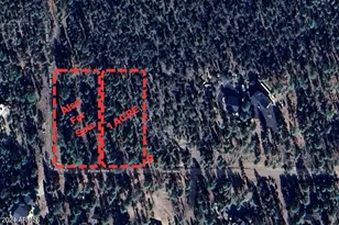 2968 Constellation Ln, Overgaard, AZ 85933 - Photo 1