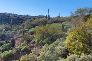 15911 E Burro Dr, Fountain Hills, AZ 85268 - Photo 81