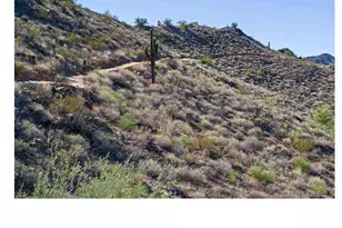 1179 W Spine Tree Ave, Queen Creek, AZ 85140 - Photo 43