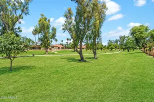 8150 E Appaloosa Trail, Scottsdale, AZ 85258 - Photo 45