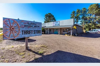 2353 Quarter Horse Trail #238, Overgaard, AZ 85933 - Photo 161