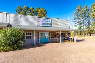 2353 Quarter Horse Trl, Overgaard, AZ 85933 - Photo 163
