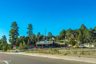 2353 Quarter Horse Trl, Overgaard, AZ 85933 - Photo 145