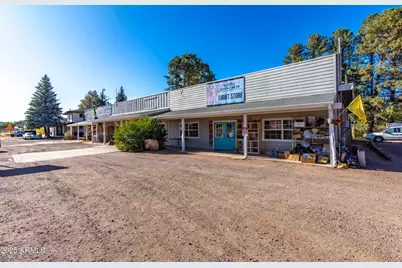 2353 Quarter Horse Trail #238, Overgaard, AZ 85933 - Photo 157