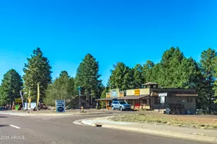 2353 Quarter Horse Trl, Overgaard, AZ 85933 - Photo 149