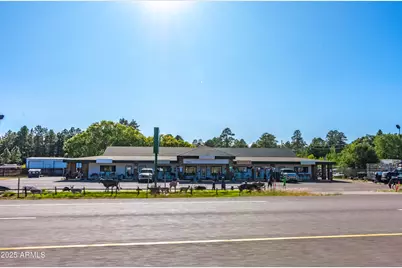 2353 Quarter Horse Trail #238, Overgaard, AZ 85933 - Photo 141