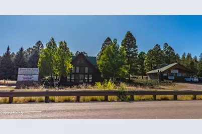 2353 Quarter Horse Trail #238, Overgaard, AZ 85933 - Photo 151