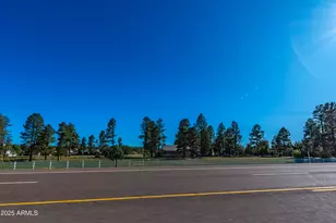 2353 Quarter Horse Trl, Overgaard, AZ 85933 - Photo 135