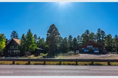 2353 Quarter Horse Trail #238, Overgaard, AZ 85933 - Photo 153