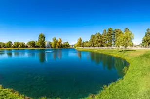 2353 Quarter Horse Trl, Overgaard, AZ 85933 - Photo 123