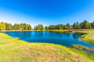 2353 Quarter Horse Trl, Overgaard, AZ 85933 - Photo 119