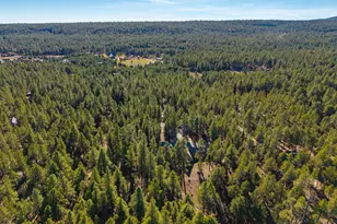 2750 W Forest Hills Dr, Flagstaff, AZ 86001 - Photo 105