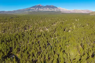 2750 W Forest Hills Dr, Flagstaff, AZ 86001 - Photo 113