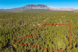 2750 W Forest Hills Dr, Flagstaff, AZ 86001 - Photo 109