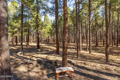 2750 W Forest Hills Drive, Flagstaff, AZ 86001 - Photo 85