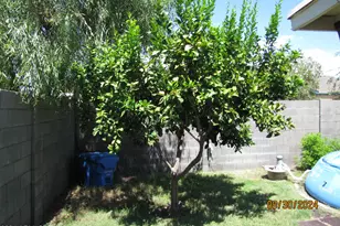 4854 W Cinnabar Ave, Glendale, AZ 85302 - Photo 23