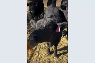 32905 N 140th Street, Scottsdale, AZ 85262 - Photo 121