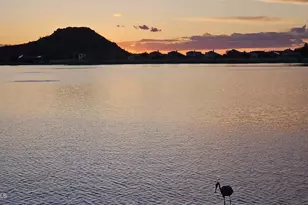 10489 S 182nd Dr, Goodyear, AZ 85338 - Photo 63