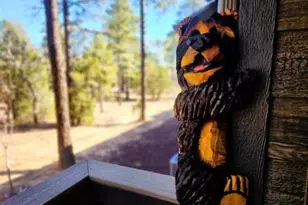 6009 Saturn Dr, Lakeside, AZ 85929 - Photo 39