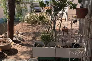 19225 N Cave Creek Rd, Phoenix, AZ 85024 - Photo 7