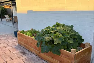 4414 S Terrace Rd, Tempe, AZ 85282 - Photo 39