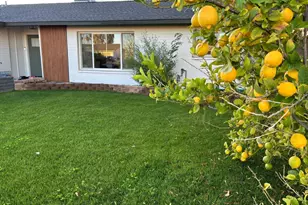 4414 S Terrace Rd, Tempe, AZ 85282 - Photo 25