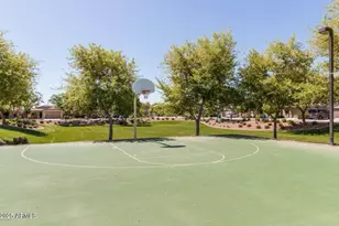 538 W Gum Tree Ave, San Tan Valley, AZ 85140 - Photo 43