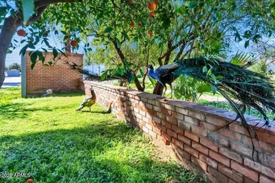 4004 E McKellips Road #6-102, Mesa, AZ 85215 - Photo 5