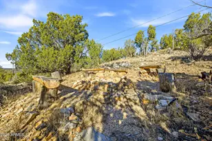 1864 Little Doe Trail, Heber, AZ 85928 - Photo 37