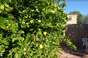 2008 N Pablo Ct, Casa Grande, AZ 85122 - Photo 35