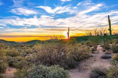 40790 N 94th Street #272, Scottsdale, AZ 85262 - Photo 1
