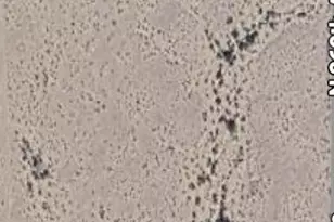 3Xxx N 369th Ave, Tonopah, AZ 85354 - Photo 1