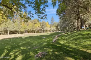 259 W Forest Service 249 Rd, Young, AZ 85554 - Photo 45