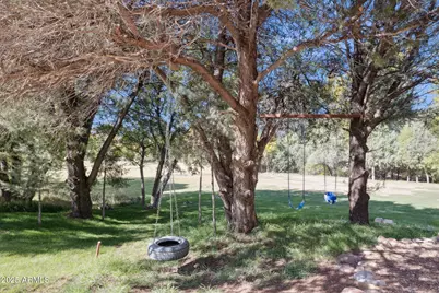 259 W Forest Service 249 Road, Young, AZ 85554 - Photo 43