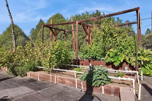 259 W Forest Service 249 Rd, Young, AZ 85554 - Photo 49