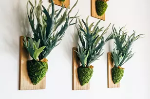 13627 E Rancho Laredo Dr, Scottsdale, AZ 85262 - Photo 37