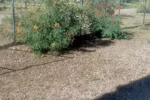 5135 E Muheim St, Hereford, AZ 85615 - Photo 29